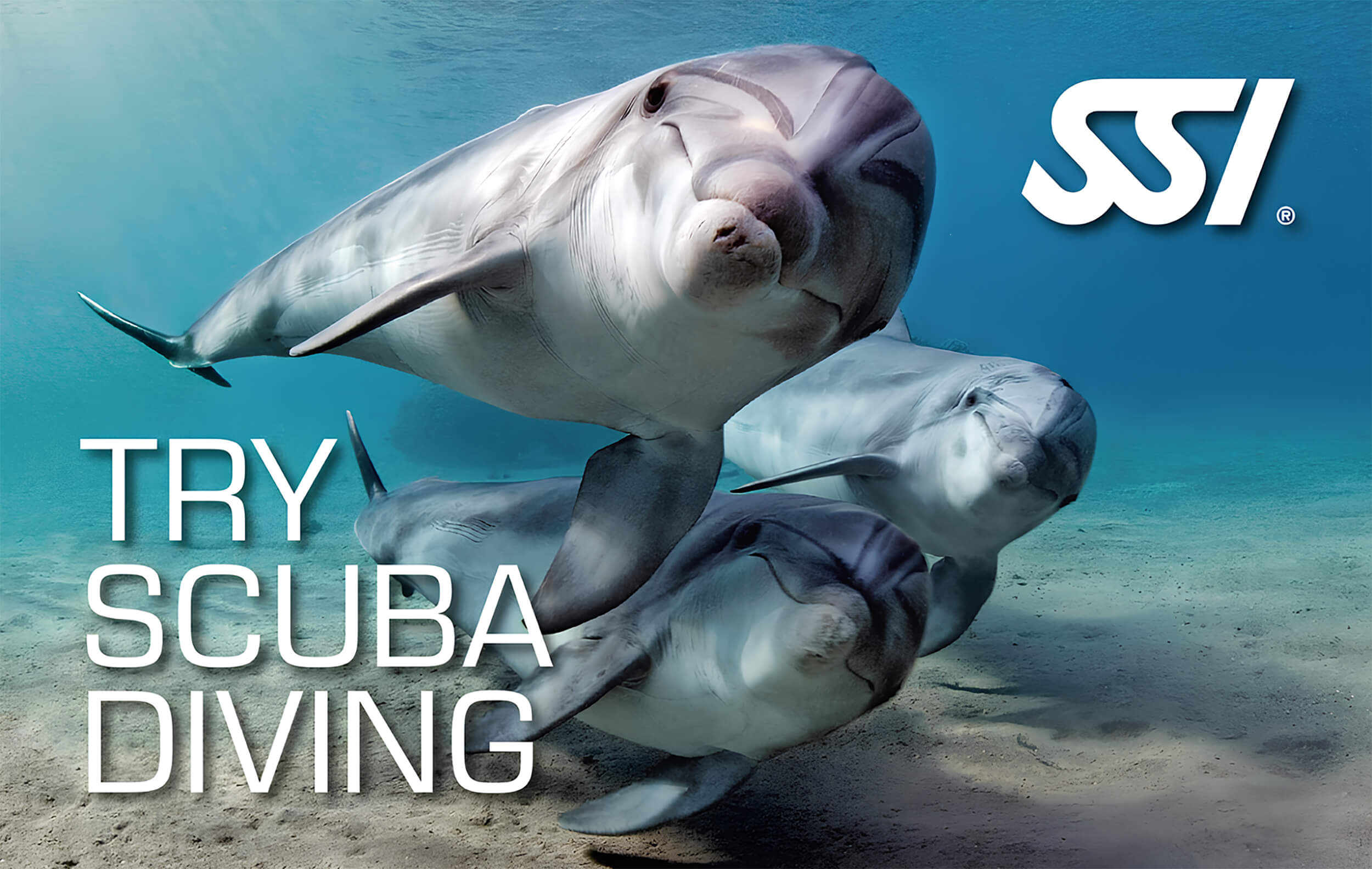 Try Scuba